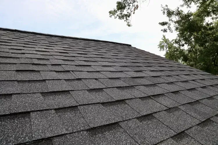 Thorough shingle roof inspection by certified roofing professionals in Los Angeles